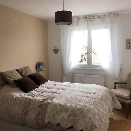 Au Pied Des Vosges Apartment Obernai Ngoại thất bức ảnh