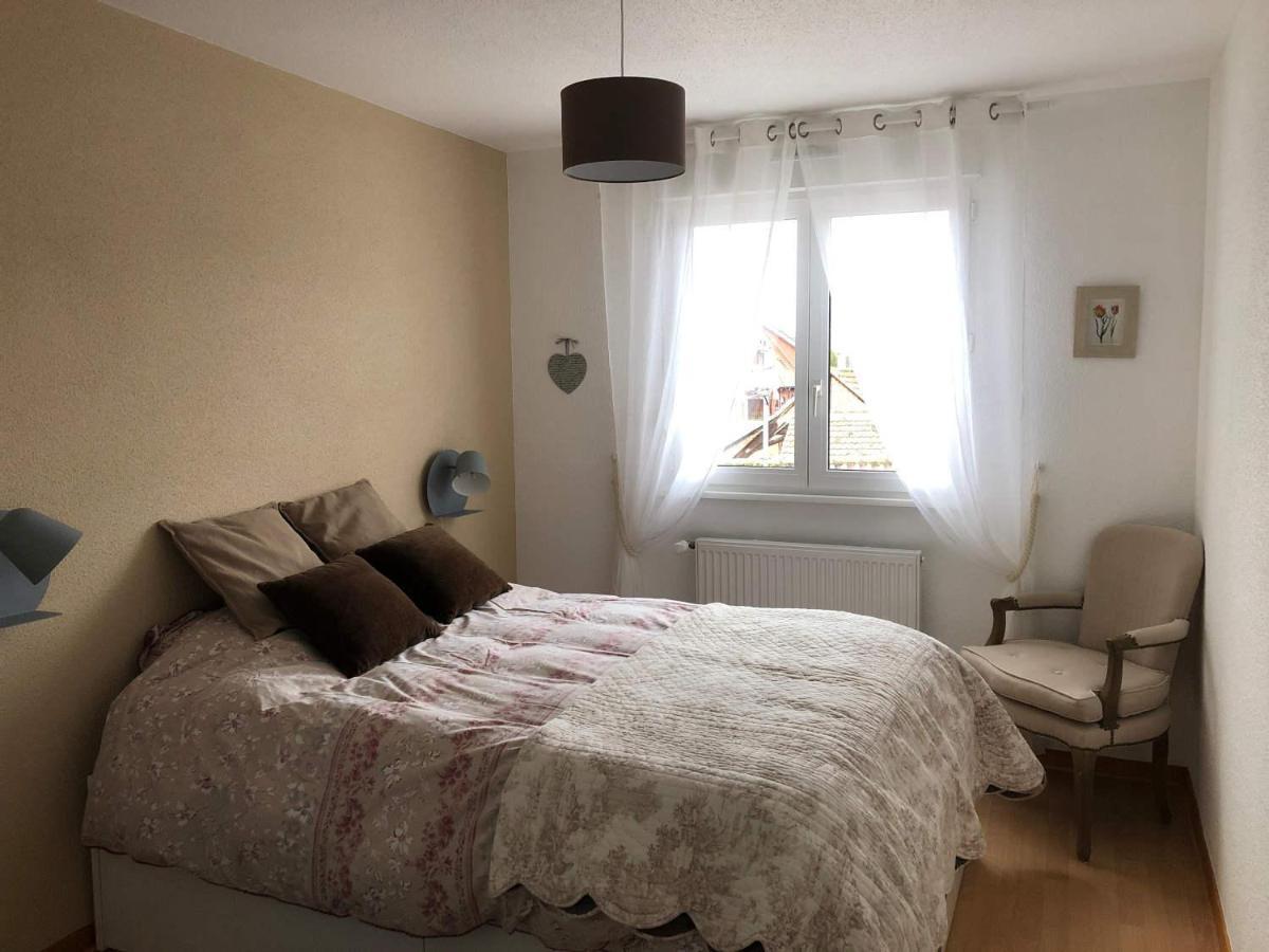 Au Pied Des Vosges Apartment Obernai Ngoại thất bức ảnh