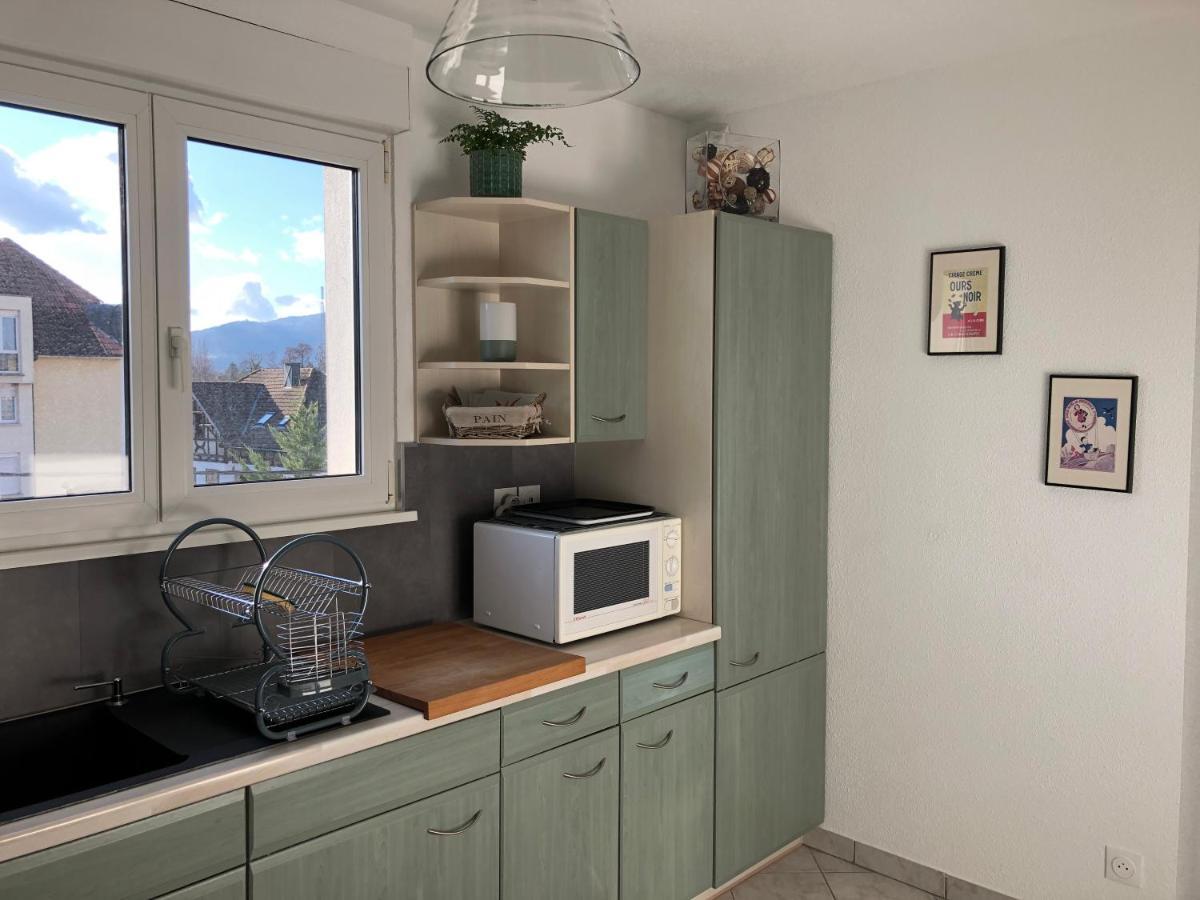 Au Pied Des Vosges Apartment Obernai Ngoại thất bức ảnh