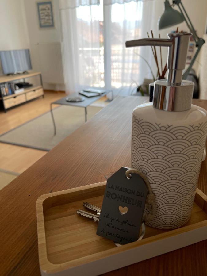 Au Pied Des Vosges Apartment Obernai Ngoại thất bức ảnh